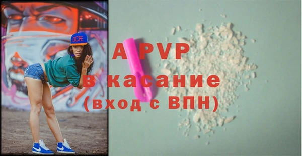 индика Белоозёрский