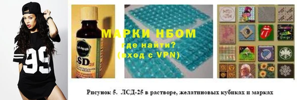 спайс Богданович