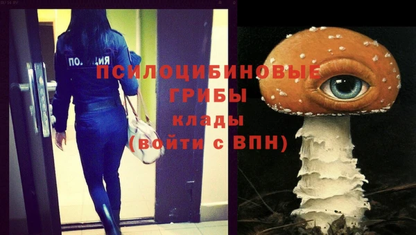 спиды Белокуриха