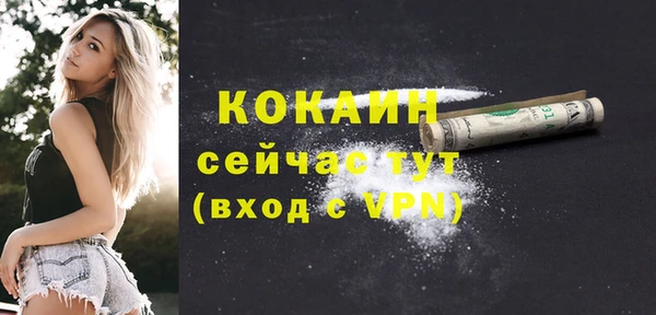 спайс Богданович