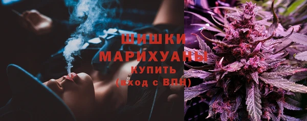 индика Белоозёрский