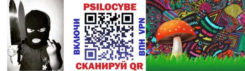 наркота  Киренск  Псилоцибиновые грибы мицелий 